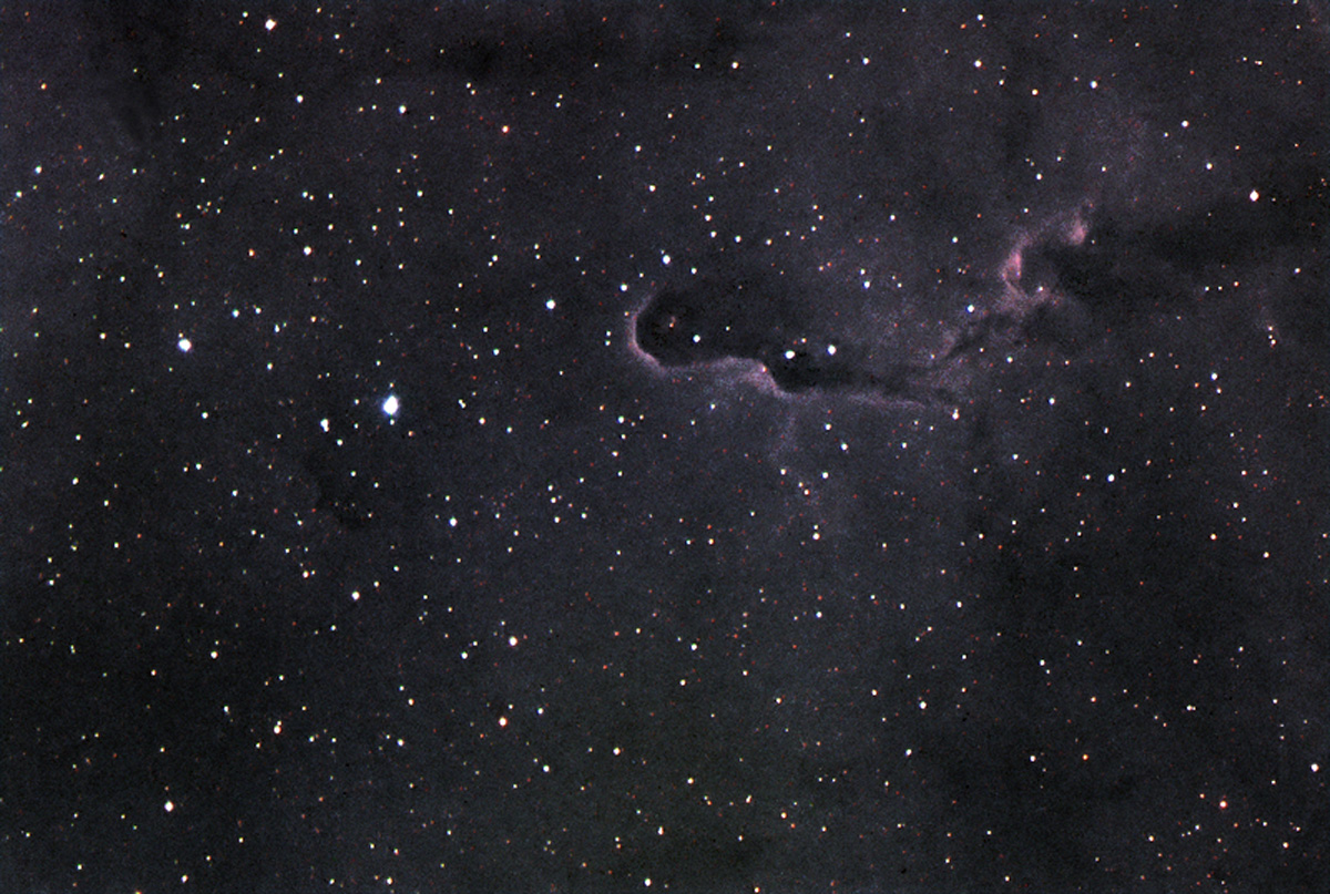 Elephant Trunk Nebula