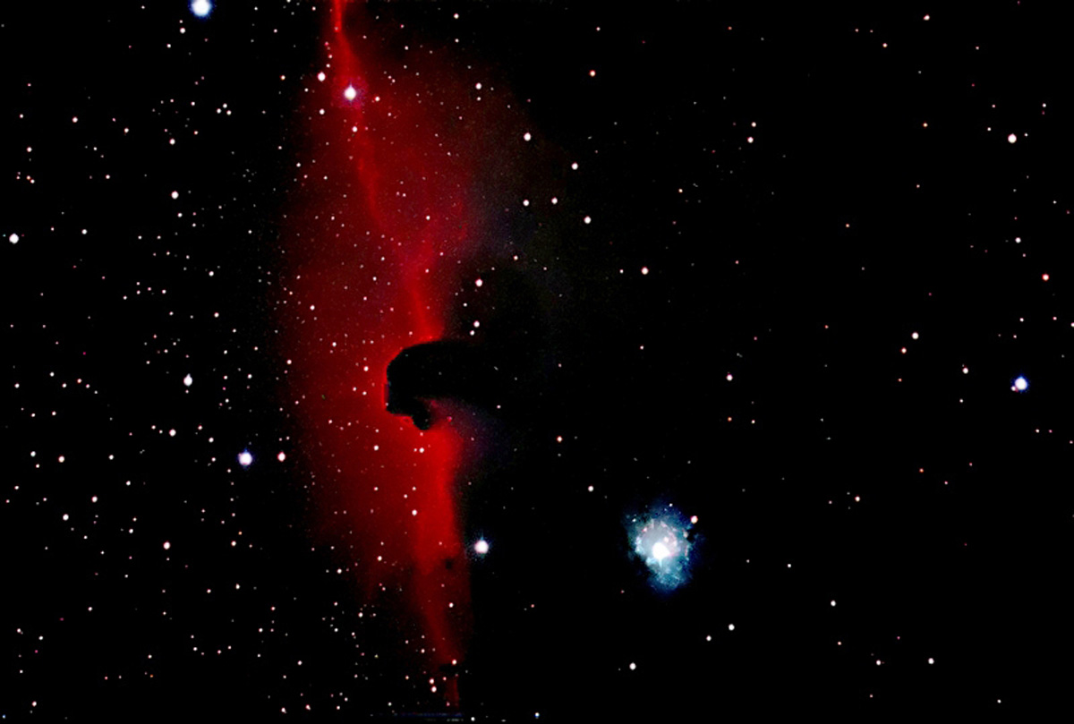 Horsehead